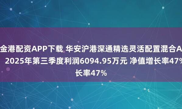 金港配资APP下载 华安沪港深通精选灵活配置混合A：2025年第三季度利润6094.95万元 净值增长率47%