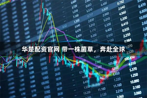 华楚配资官网 带一株菌草，奔赴全球