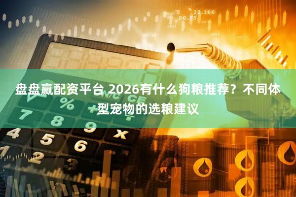 盘盘赢配资平台 2026有什么狗粮推荐？不同体型宠物的选粮建议