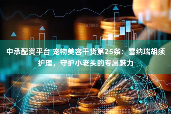 中承配资平台 宠物美容干货第25条：雪纳瑞胡须护理，守护小老头的专属魅力