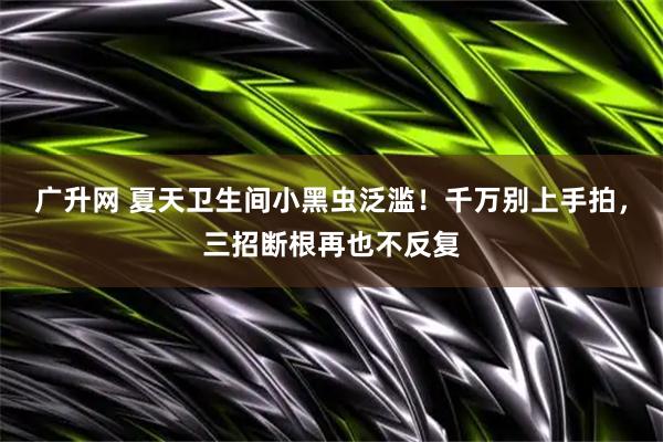广升网 夏天卫生间小黑虫泛滥！千万别上手拍，三招断根再也不反复